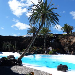 Der vielleicht schönste Garten im Atlantik Der vielleicht schönste Garten im Atlantik