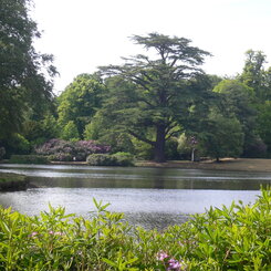 Inspiration für Beaulieu House Inspiration für Beaulieu House