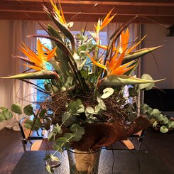 Premierenstrauß Strelitzien Premierenstrauß Strelitzien